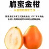 脆蜜金柑 650g/份 商品缩略图0