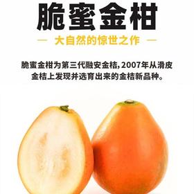 脆蜜金柑 650g/份