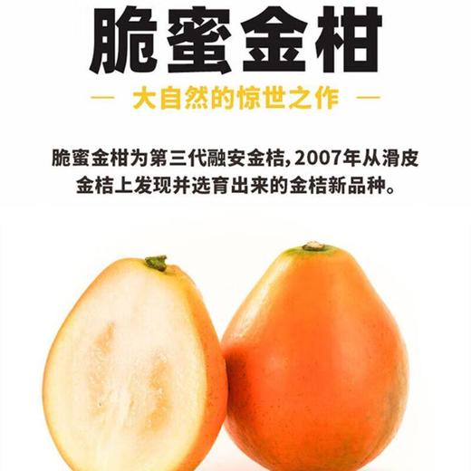 脆蜜金柑 650g/份 商品图0
