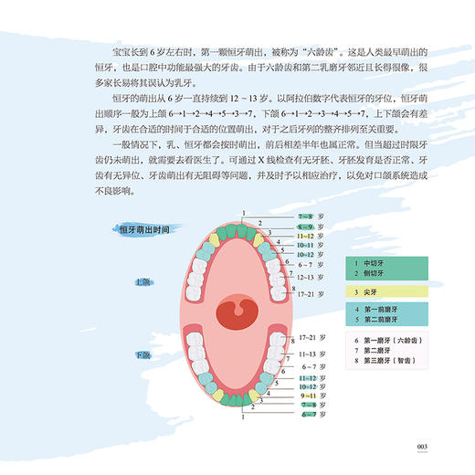 博物馆里话牙病 国际口腔医学博物馆系列丛书 赵铱民 麻明歌 涵盖大中小学生教师医务工作者公司职员中老年人群等等人民卫生出版社 商品图4