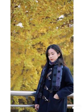 蔻驰 星星条纹 山羊毛提花围巾（DSX）