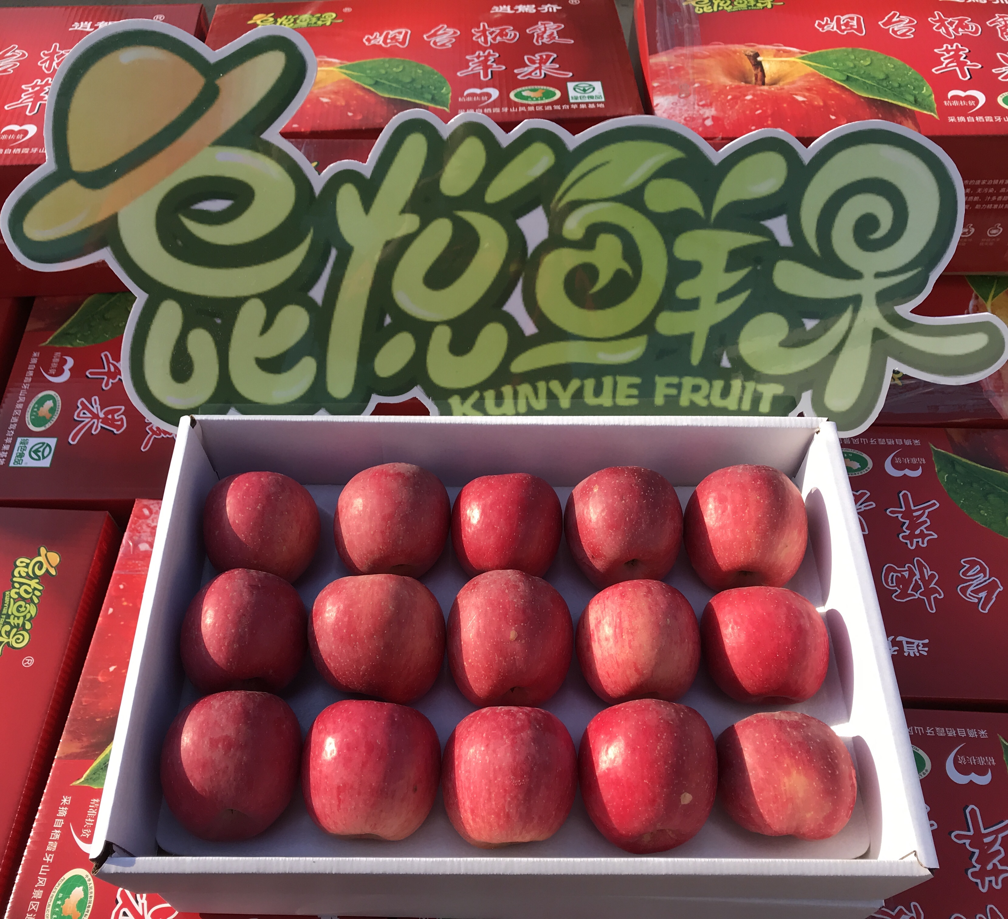 昆悦鲜果 逍駕夼红富士苹果85#15枚装 箱（线上包邮）