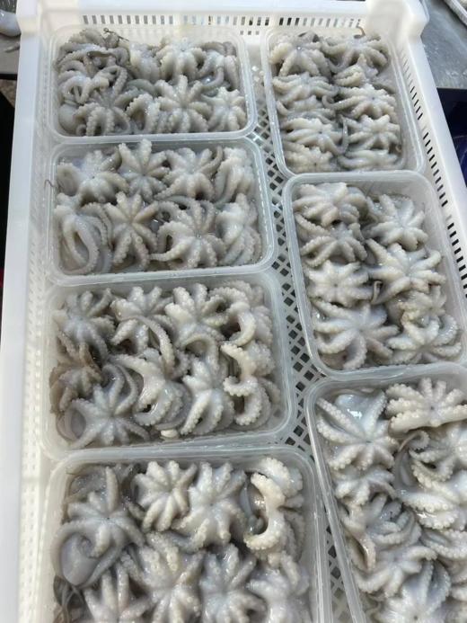 & 小章鱼，限时抢购，清灼🔥红烧色香味具全 让你食欲大开活冻 商品图2