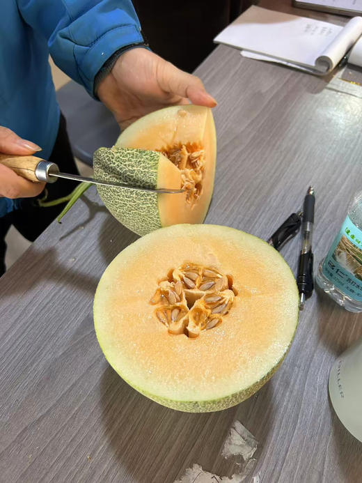 宏丰精选，丝路晓蜜，皮薄肉厚。脆甜多汁  零售‼️9.8一斤 商品图4