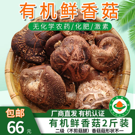 【厂商直发】有机鲜香菇段木香菇1斤/2斤香味浓郁肉质厚实自然鲜美包邮 商品图5