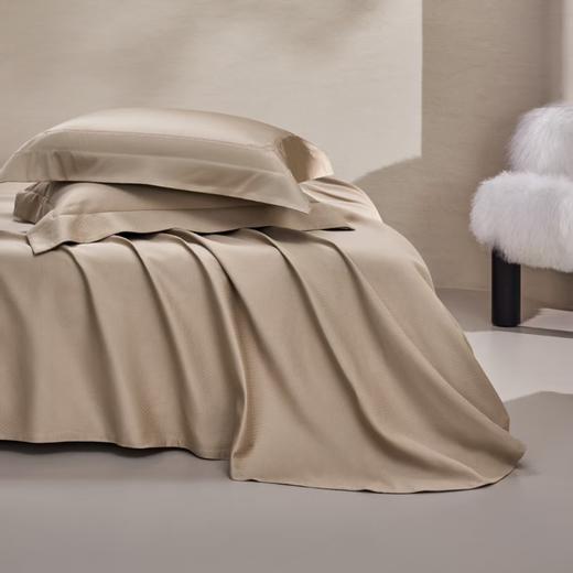 【6F】罗莱·粹 崖柏木语 DY0688-4 商品图6