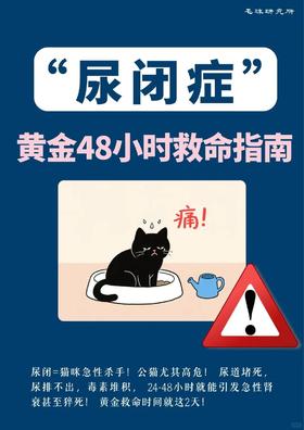 “尿闭证”黄金48小时自救指南