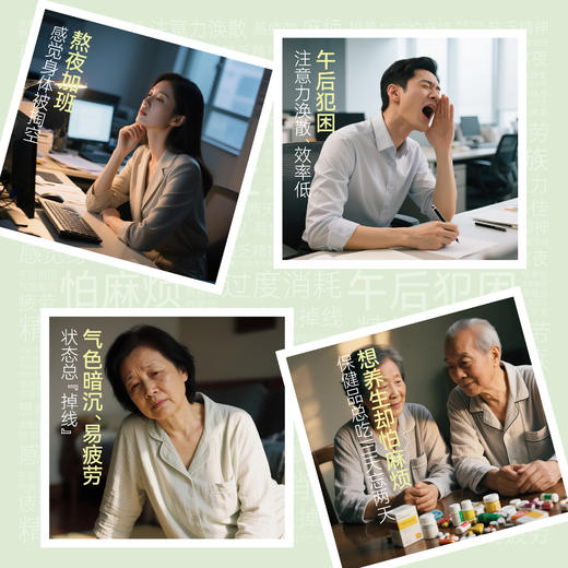 【凤品优选】健康好物-三七原萃饮（7日轻养小包装）--4盒（每盒7袋，每袋20ml) 商品图2