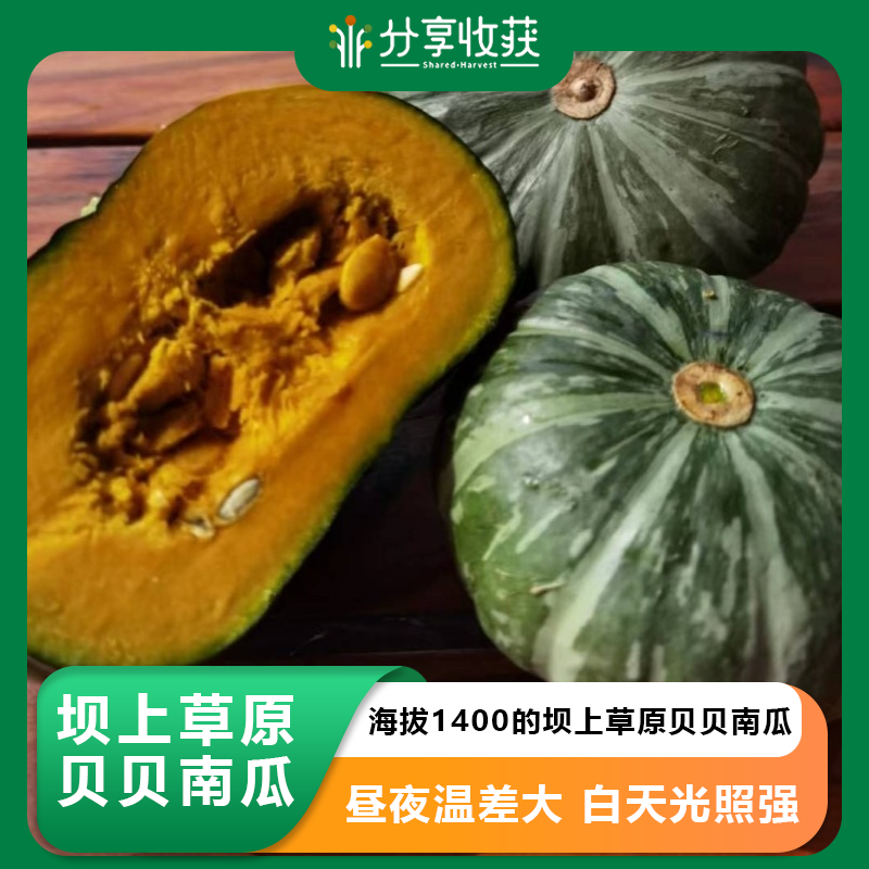 坝上草原生态贝贝南瓜 |  粉糯香甜   | 公平贸易 | *Ecological Beibei Pumpkin