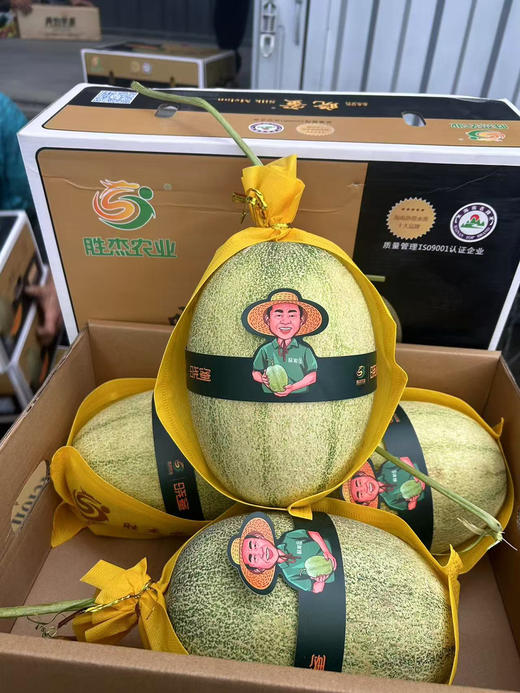 宏丰精选，丝路晓蜜，皮薄肉厚。脆甜多汁  零售‼️9.8一斤 商品图1