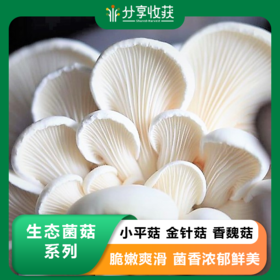 生态菌菇系列 | 小平菇 金针菇  香魏菇 | 口感鲜美 | 合作生产 * Ecological mushroom
