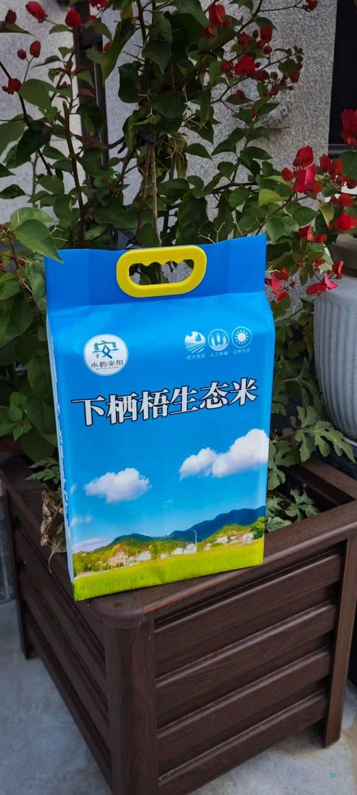 下栖梧生态田园香米5KG 无污染 0添加 商品图0