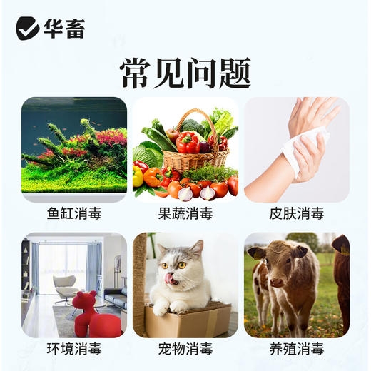 华畜高锰酸钾消毒片 商品图1