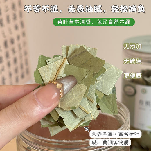 长白山有机荷叶 35克/罐*2罐 商品图5