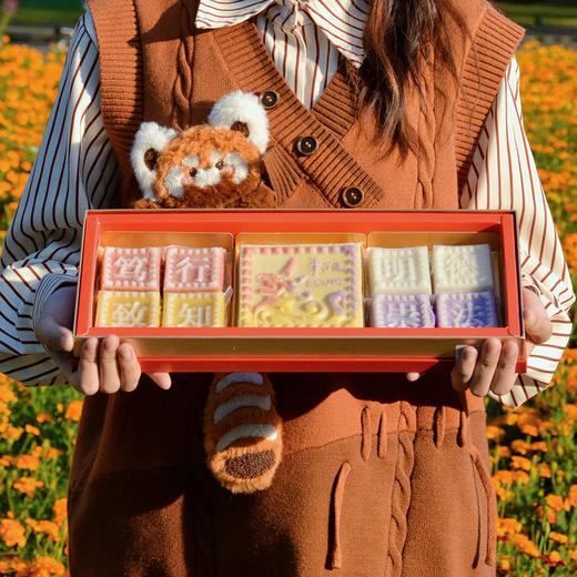 华东政法大学生日联名款丨獬豸-国泰民安 商品图5