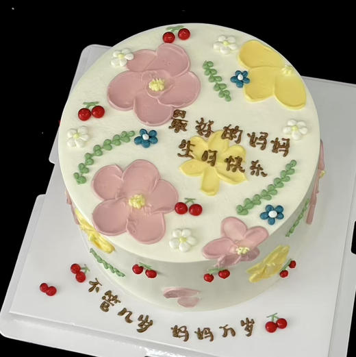 最好的妈妈 商品图0