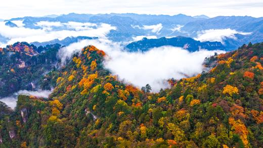 10.24确定出发【秋摄秦巴】红叶大道•光雾山•龙头山•黎坪红叶9天 商品图11