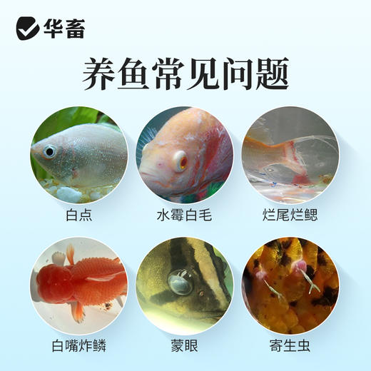 亚甲基蓝鱼缸杀菌消毒锦鲤观赏鱼白点净烂身烂尾水霉病专用鱼药 商品图1