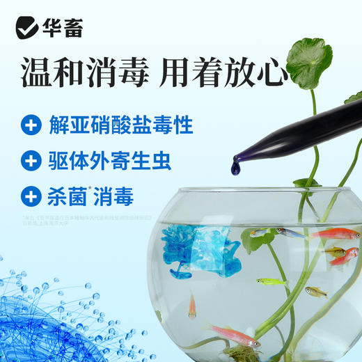 亚甲基蓝鱼缸杀菌消毒锦鲤观赏鱼白点净烂身烂尾水霉病专用鱼药 商品图2