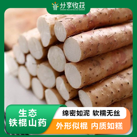 【包邮】生态铁棍山药 | 农场自产 * Iron Stick Yam
