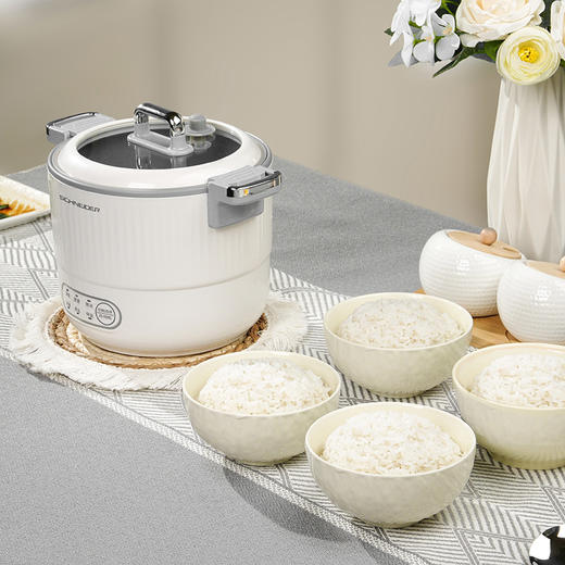 [施耐德]多功能微压锅1.5L 商品图9