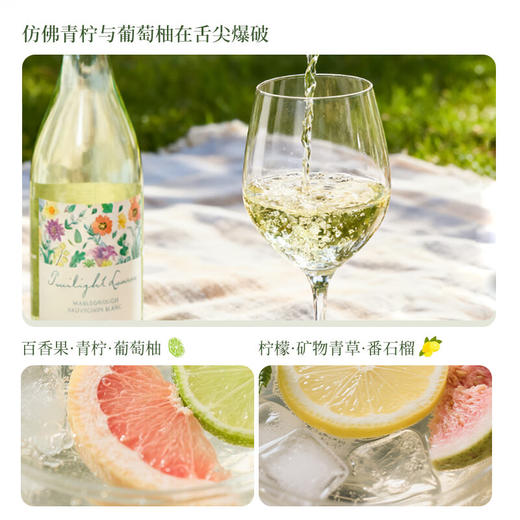 【马尔堡长相思】暮光恋人新西兰长相思 进口干白葡萄酒 13%vol 商品图5