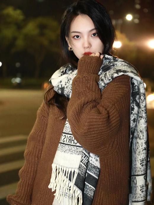 迪奥 新款 动物园印花围巾（DSX） 商品图2