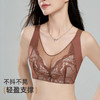 2025无钢圈文胸DYW5184 商品缩略图2
