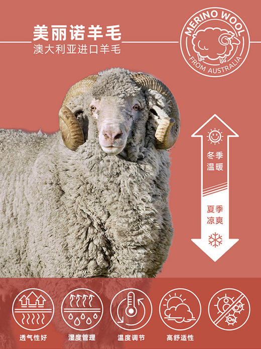 赛乐美丽诺羊毛T恤帽衫探索旅行T恤跑步通勤T恤羊毛T恤男女春夏款 商品图1