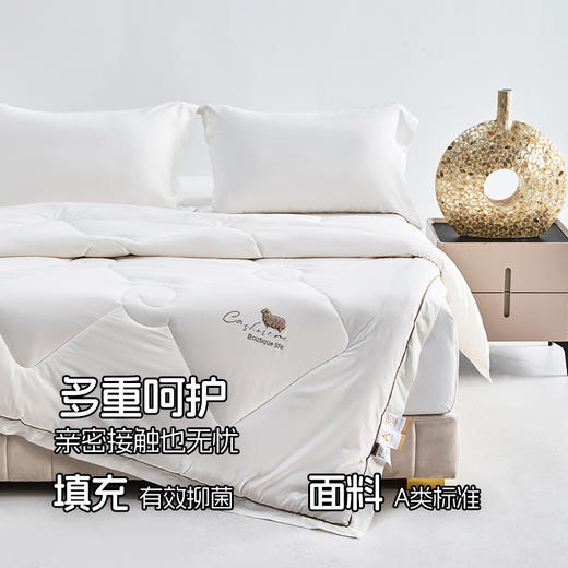 多喜爱 澳境纯羊毛加厚冬被【100%澳洲羊毛】【60S全棉贡缎】【足料填充】丝光工艺 柔暖不闷 加厚填充 烫钻工艺 PU皮手提包 商品图2