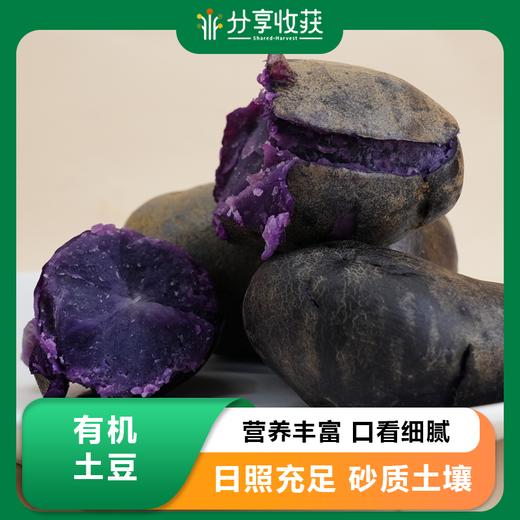 有机土豆 | 花青素高 公平贸易| * Ecological Potato 商品图0