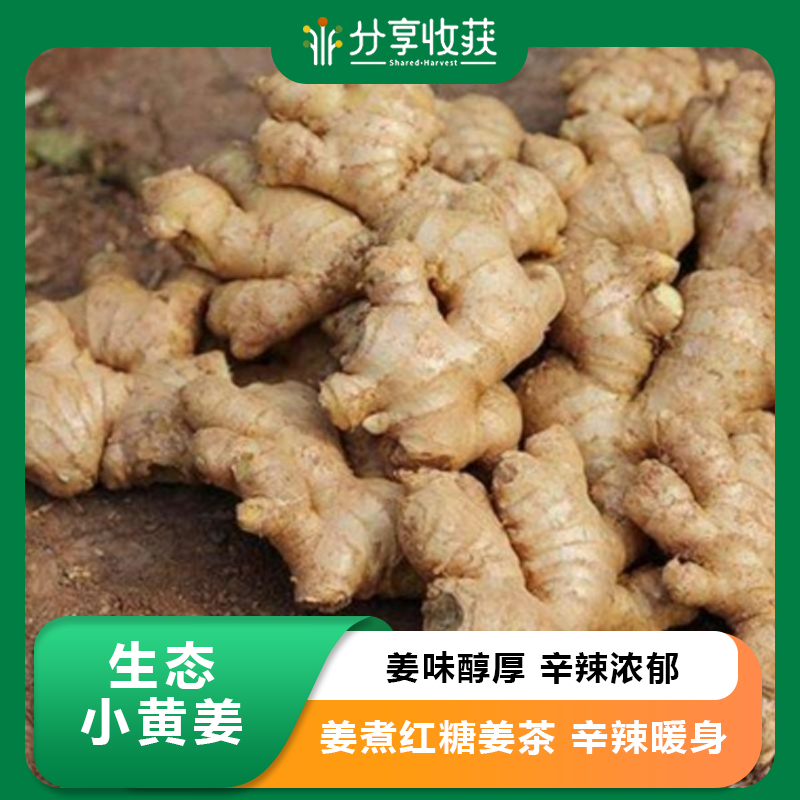 生态小黄姜 | 姜味实足 | 合作生产 * Ecological small yellow ginger
