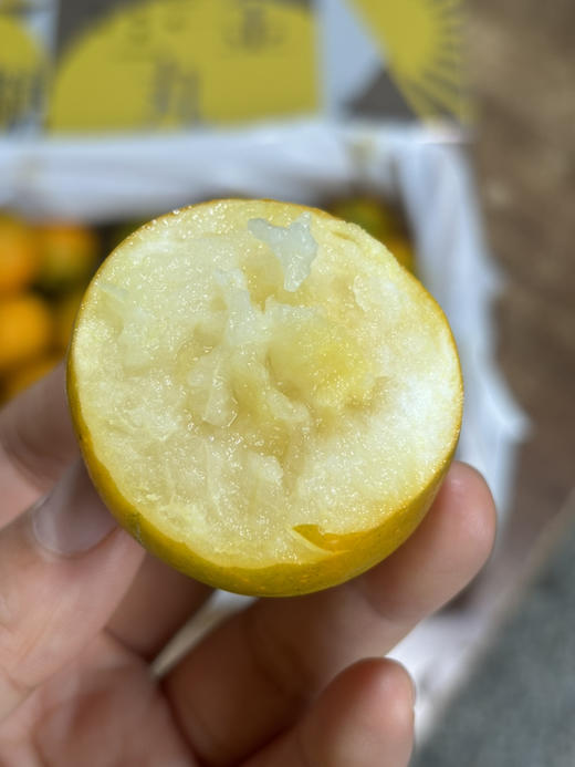 脆蜜金柑 口感超好 表皮脆嫩 果肉嫩甜多汁 鼎鼎好吃～ 商品图2