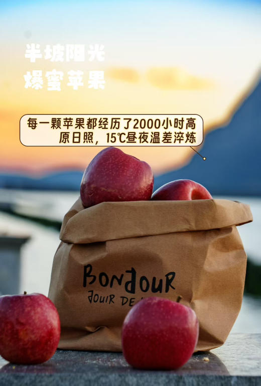 来自半坡阳光的爆蜜苹果，⬆️巨酥脆，汁水丰富💦 ⬆️纯生态种植，在园区附近村民自己在这里放牧，牛粪也是这里的天然养料，3斤/箱 商品图4