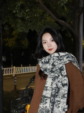 迪奥 新款 动物园印花围巾（DSX）