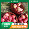 沙漠有机苹果 | 下单三天左右发货 | 基地直发*Organic desert apples 商品缩略图0