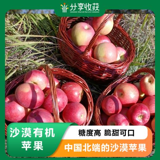 沙漠有机苹果 | 下单三天左右发货 | 基地直发*Organic desert apples 商品图0