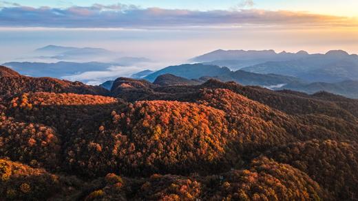 10.24确定出发【秋摄秦巴】红叶大道•光雾山•龙头山•黎坪红叶9天 商品图6