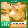 生态玉露香梨 | 合作生产 | 基地直发包邮 * Ecological Yulu Fragrant Pear 商品缩略图0