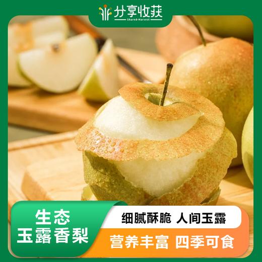 生态玉露香梨 | 合作生产 | 基地直发包邮 * Ecological Yulu Fragrant Pear 商品图0