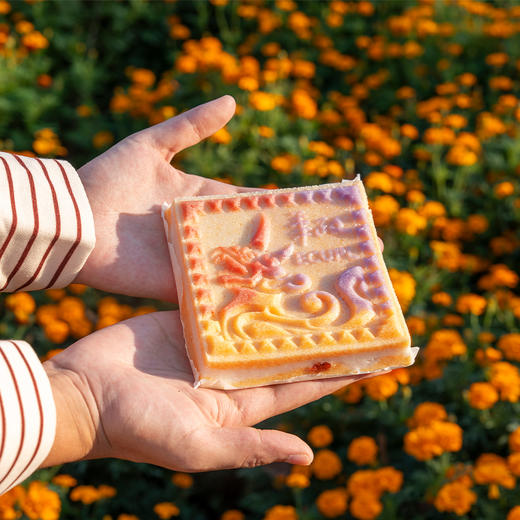 华东政法大学生日联名款丨獬豸-国泰民安 商品图2