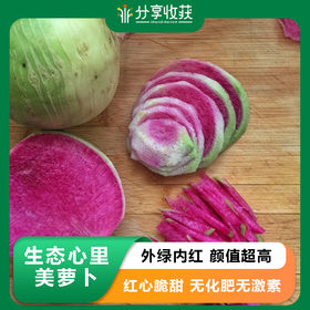 生态心里美萝卜 | 石嫣农场