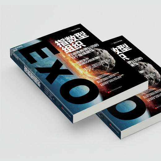 湛庐┃指数型组织 商品图3