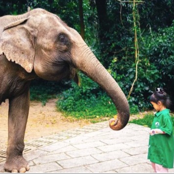 2026年寒假丨何以版纳5天4晚亲子游