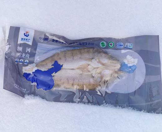 新疆有机富硒雪龙鱼 额尔齐斯河冷水鱼 商品图2