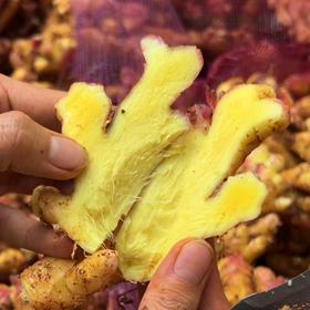 云南蒙自小黄姜（嫩姜）