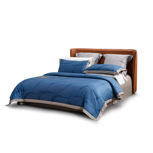 [水星家纺]月下轻歌长绒棉抗菌四件套(被套：200cm×230cm×1 床单：230cm×250cm×1，枕套:48cm×74cm×2) 商品图2