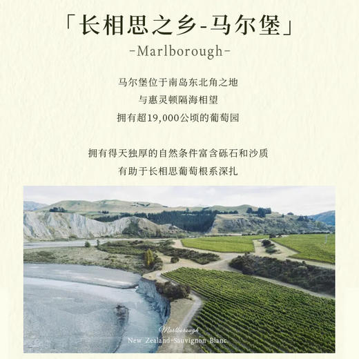 【马尔堡长相思】暮光恋人破晓长相思 进口干白葡萄酒 12.5%vol 商品图5