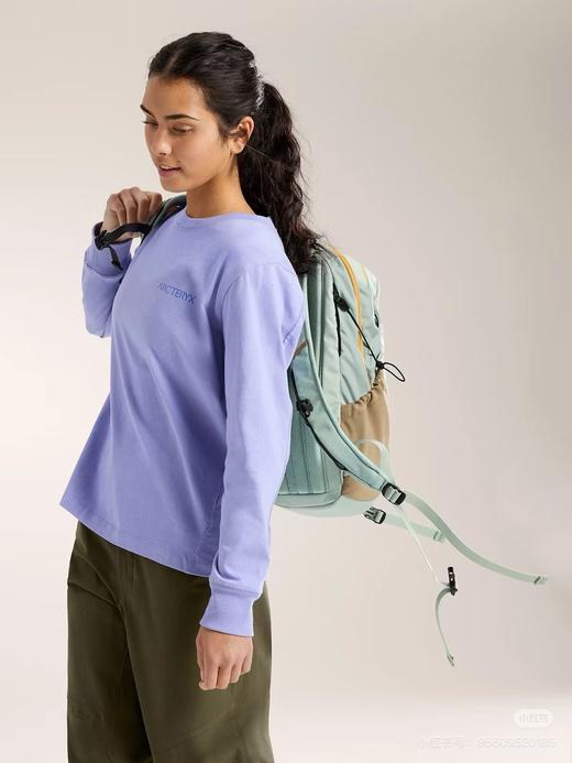 始_祖鸟加厚日常登山户外旅游行李16L双肩背包 商品图9