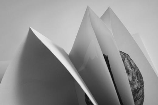 2025年中国“最美的书”明白 商品图2